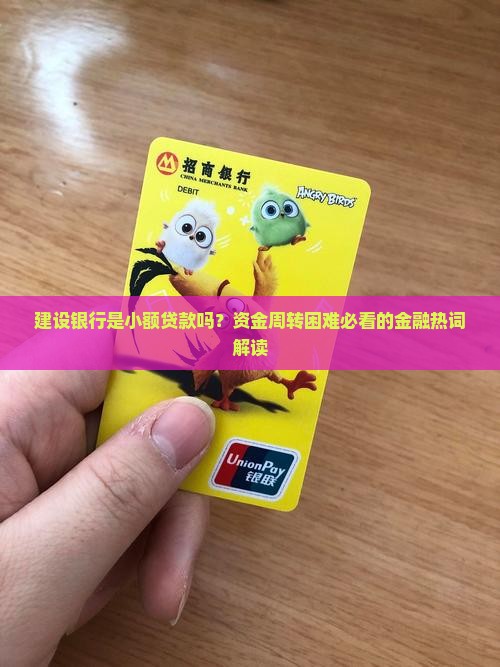 建设银行是小额贷款吗