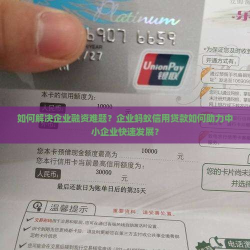 企业蚂蚁信用贷款