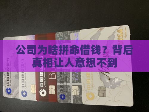 公司使劲贷款