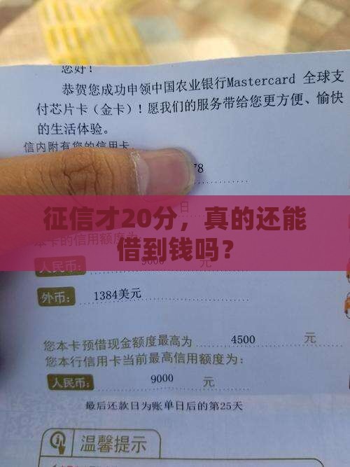 征信只有20分能贷款吗