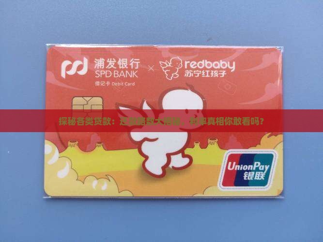 各种贷款分录及利率