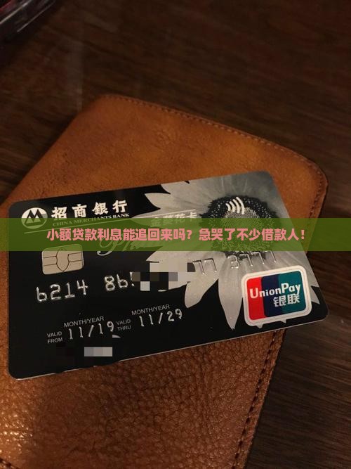 小额贷款追回利息