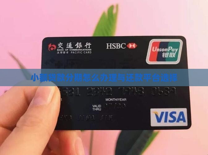 小额贷款分期怎么办