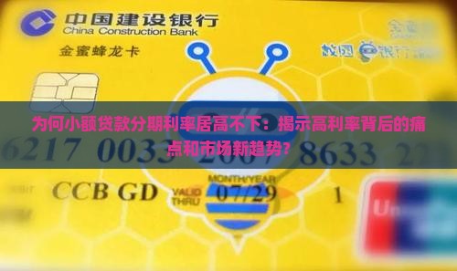 小额贷款分期利率高