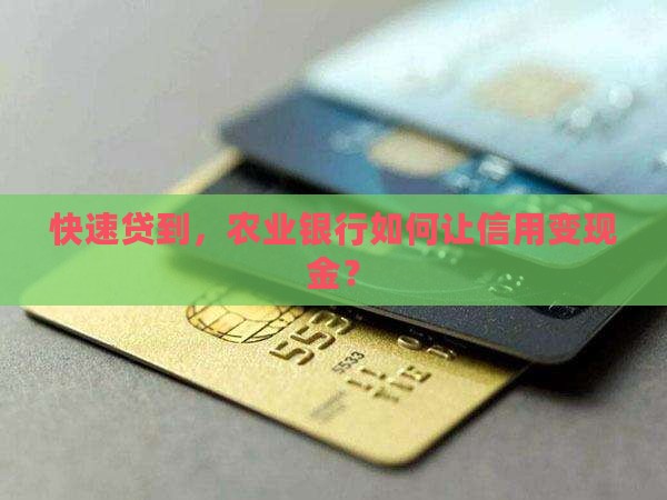 农行快e贷信用贷款
