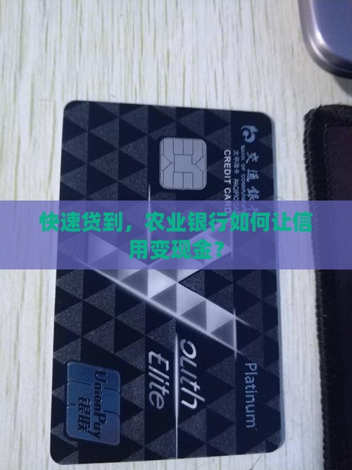 农行快e贷信用贷款