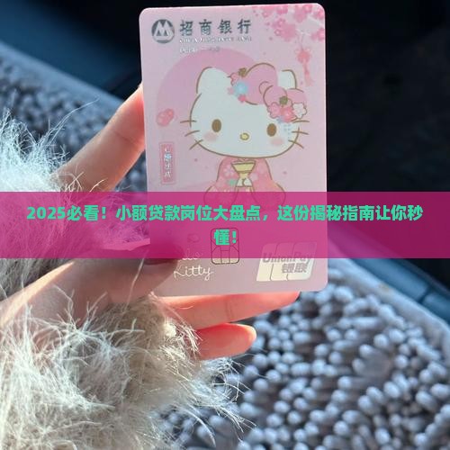 小额贷款的岗位有哪些