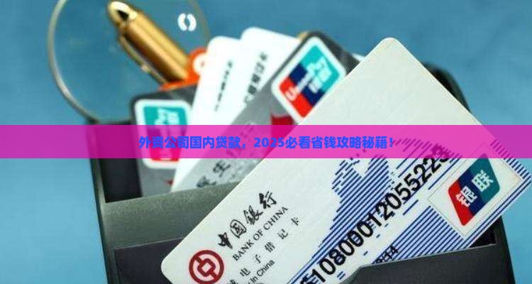 外资公司国内贷款