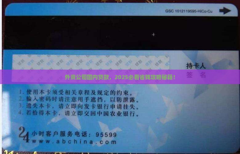 外资公司国内贷款