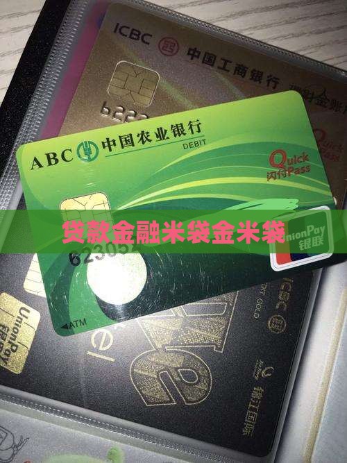 小额贷款金米袋 小额贷款金米袋