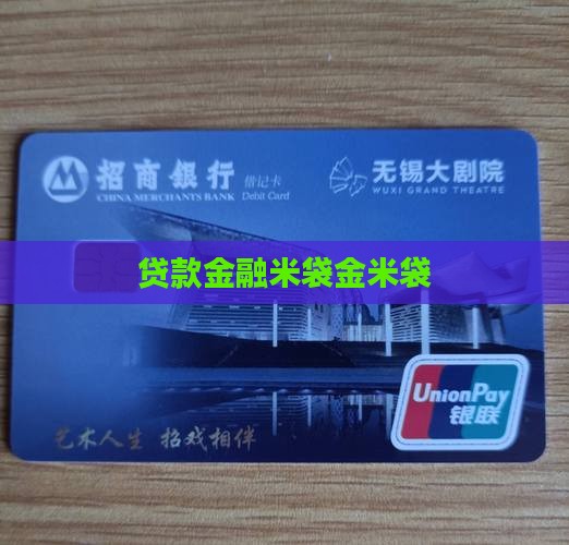 小额贷款金米袋 小额贷款金米袋