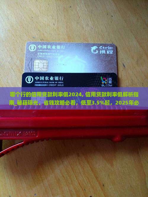 哪个行的信用贷款利率低2024