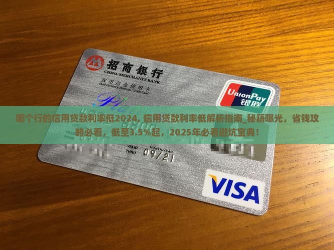 哪个行的信用贷款利率低2024