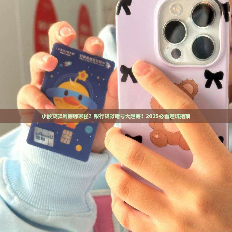 小额贷款在哪查是哪个银行贷款