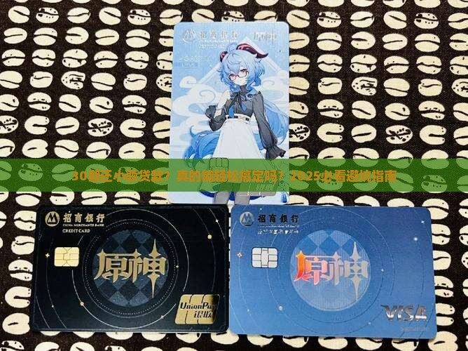 小额贷款可分30期还吗