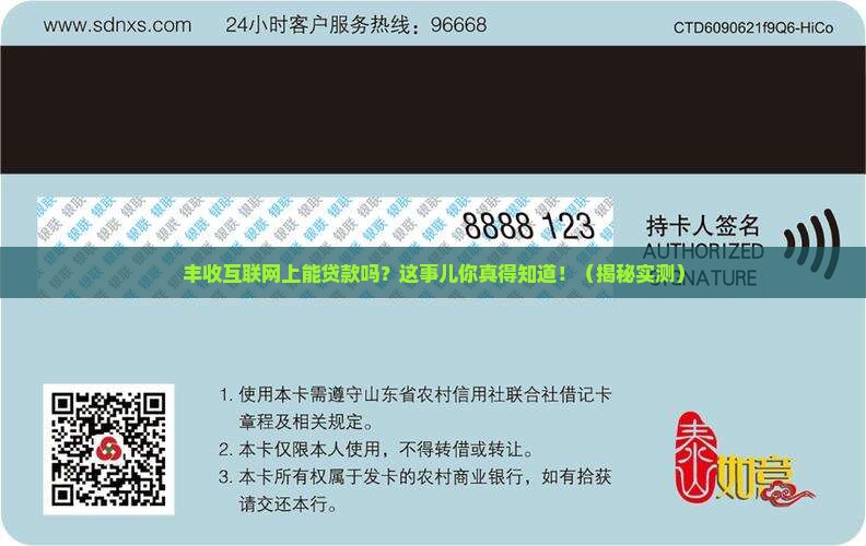 丰收互联网上能贷款吗