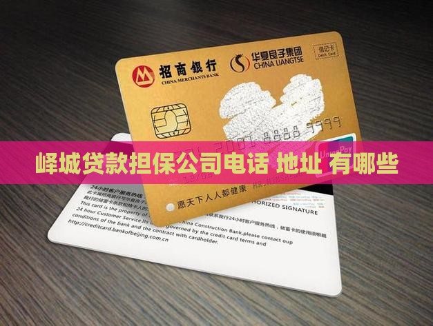 峄城贷款担保公司