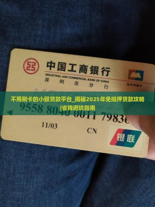 不用刷卡的小额贷款平台