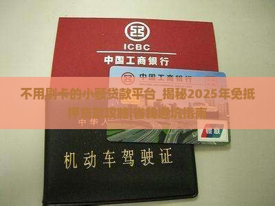不用刷卡的小额贷款平台