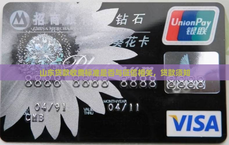 山东贷款收费标准要看征信吗