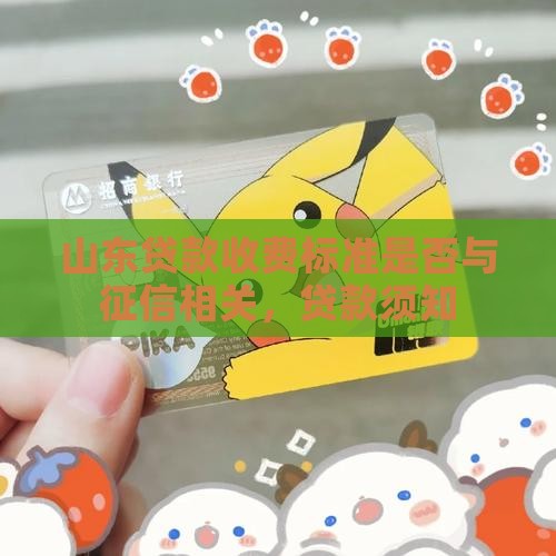 山东贷款收费标准要看征信吗