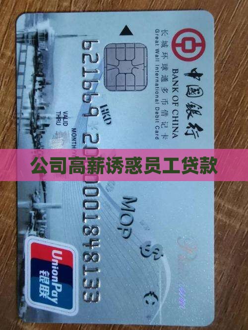 公司给高薪让贷款