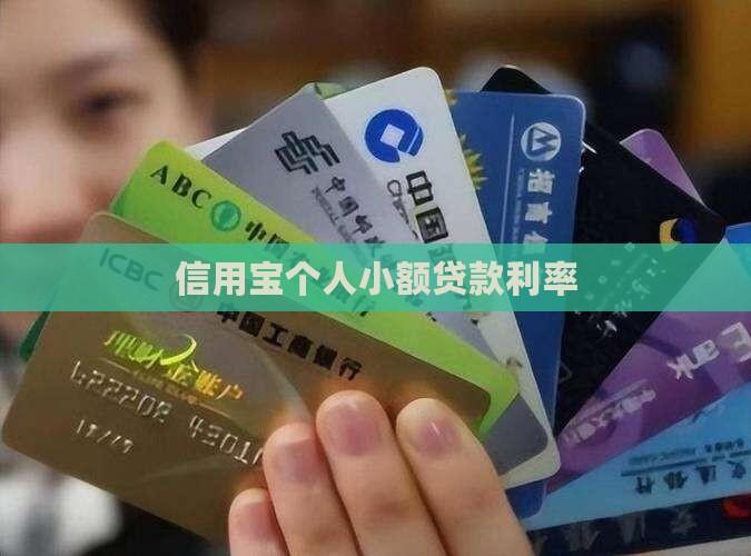 信用宝贷款利率
