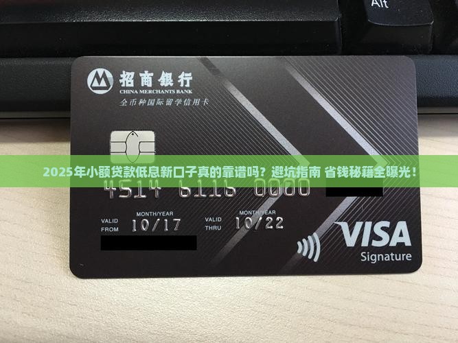 小额贷款低息新口子