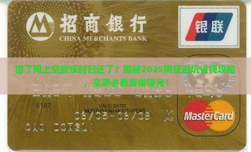 借了网上贷款按时归还了