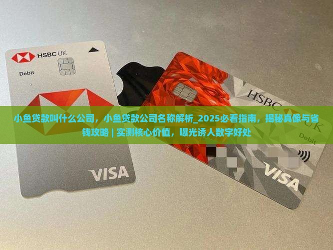 小鱼贷款叫什么公司