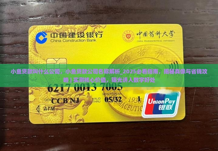 小鱼贷款叫什么公司