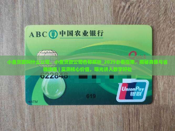 小鱼贷款叫什么公司