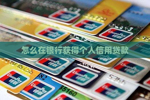 怎么在银行有信用贷款