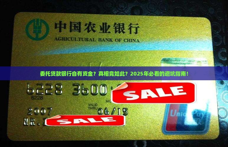 委托贷款银行自有资金