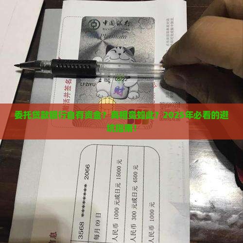委托贷款银行自有资金