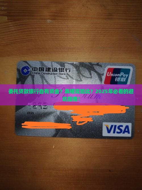 委托贷款银行自有资金