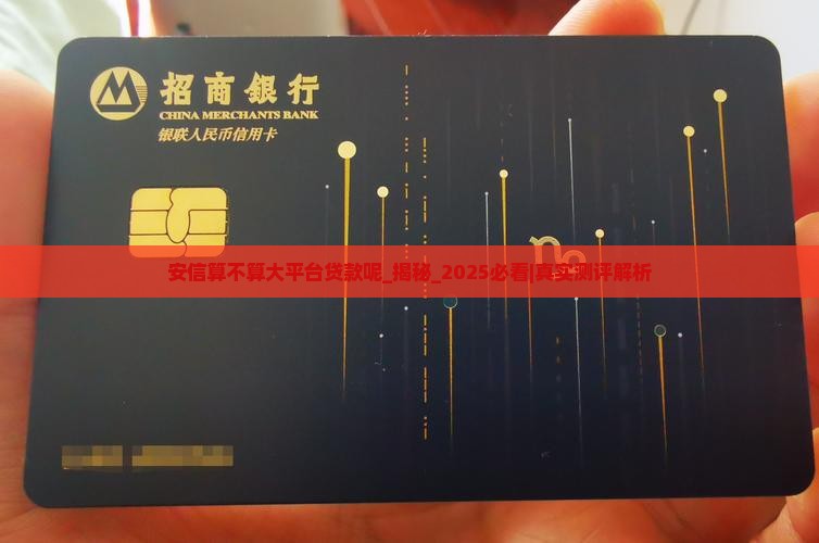 安信算不算大平台贷款呢