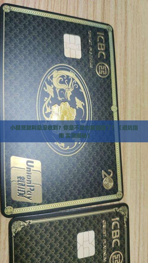小额贷款应收未收息