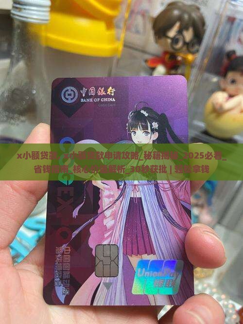 x小额贷款