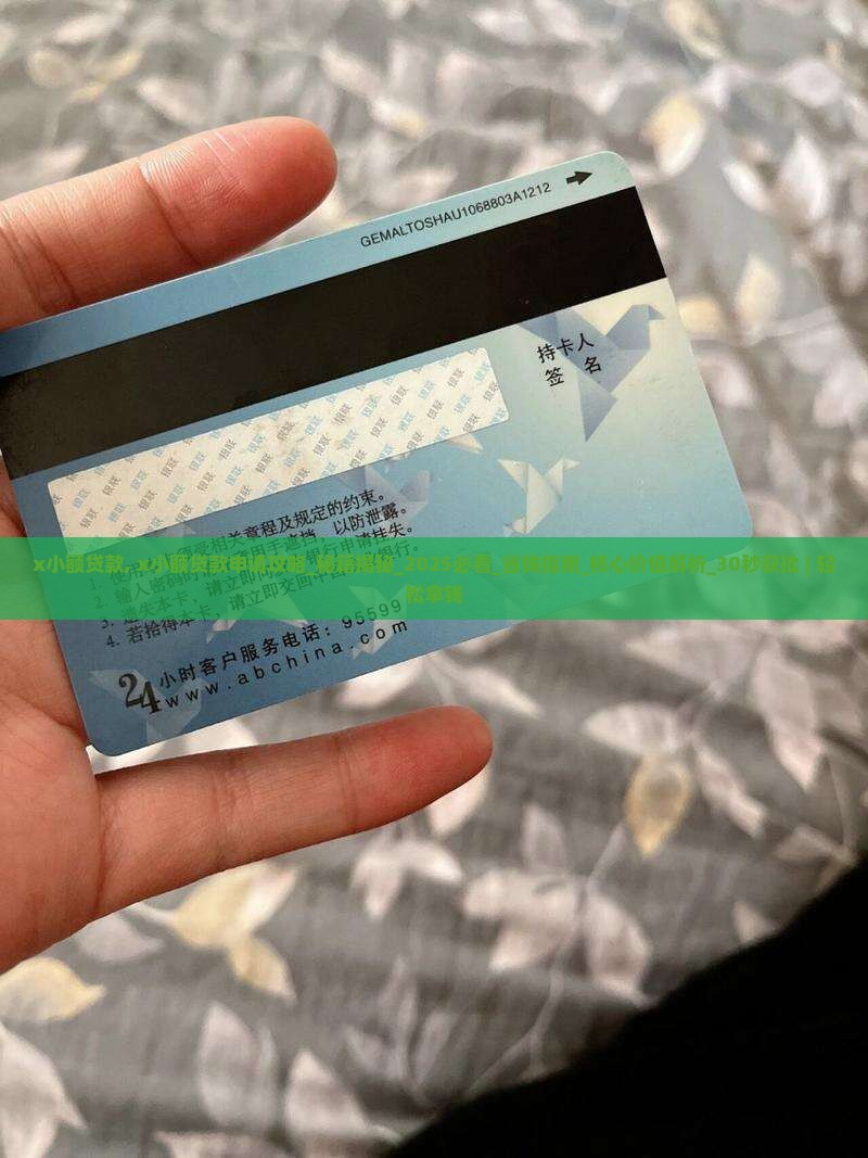 x小额贷款