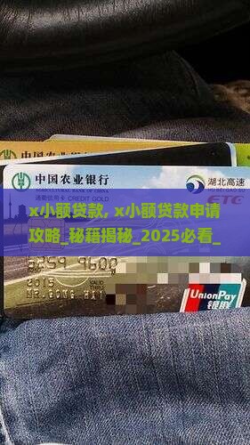 x小额贷款