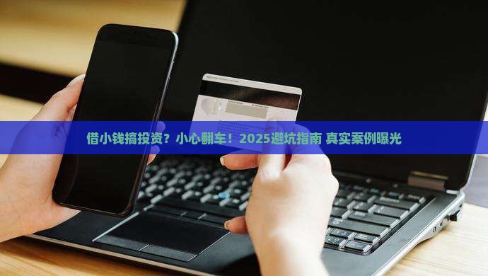 小额贷款用于投资的后果