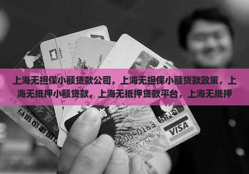 上海无担保小额贷款