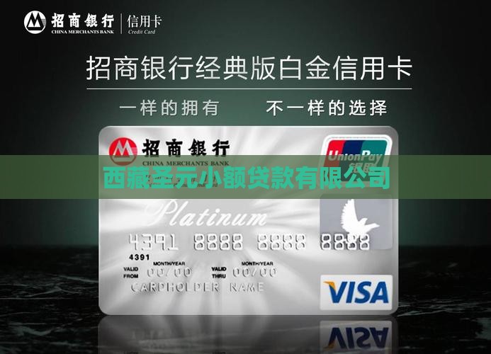 圣元小额贷款是真的吗