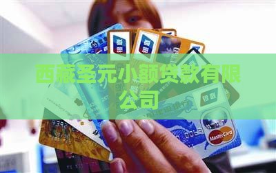 圣元小额贷款是真的吗
