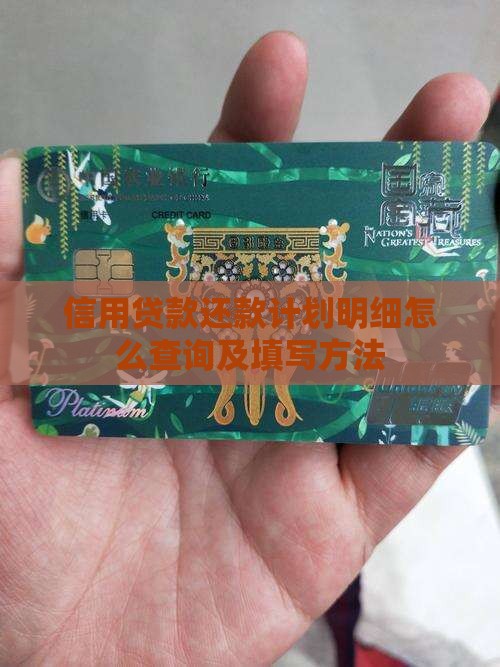 信用贷款还款计划