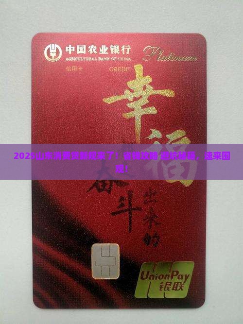 山东省消费贷款政策