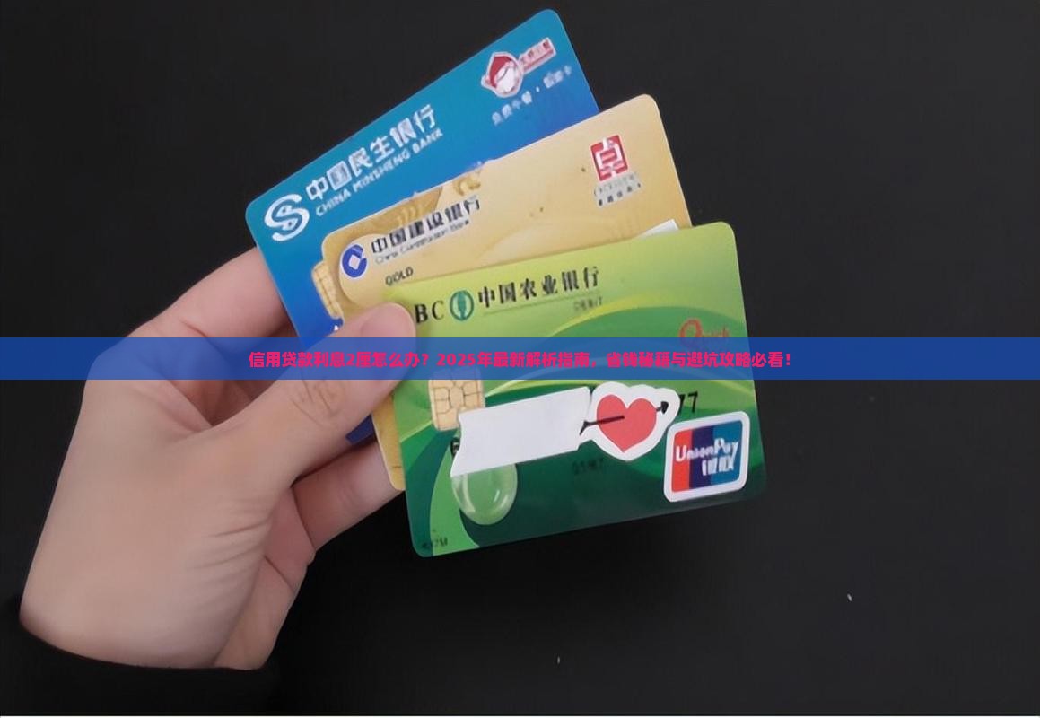 信用贷款利息2厘怎么办