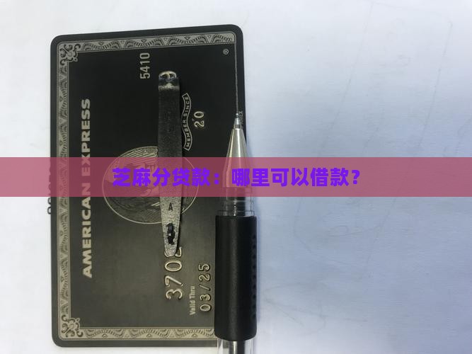 在哪里可以用芝麻分贷款