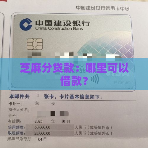 在哪里可以用芝麻分贷款